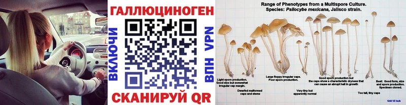 Купить закладки  Островной  Псилоцибиновые грибы Cubensis 